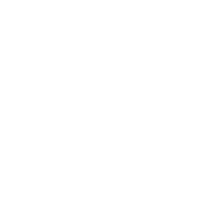 The Today Show logo